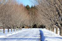 Maine Winterscapes